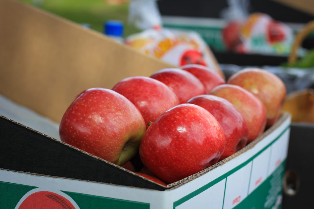 Harcourt Apples